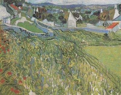 Vincent Van Gogh Vineyard with a View of Auvers (nn04) Germany oil painting art